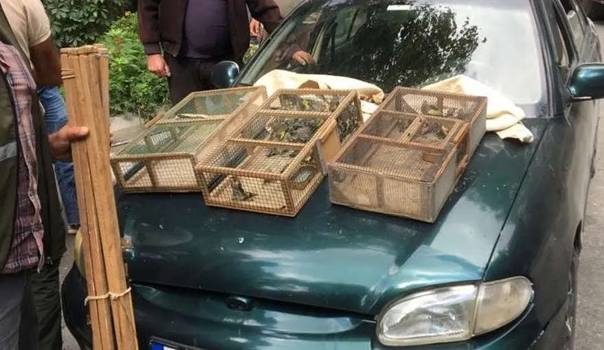 Saka kuşu avına 73 bin lira ceza 1