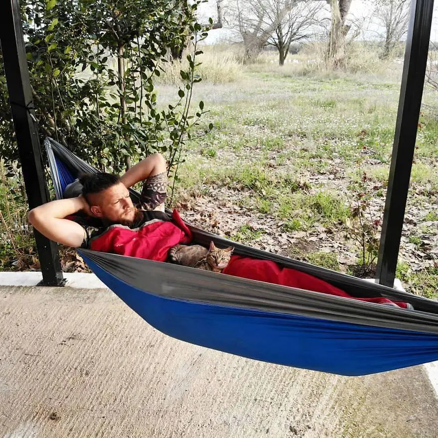 Yolda bulduğu kediyle dünya turu yaptı 5