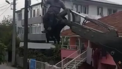 Köpeklerden kaçan kedi direkte mahsur kaldı