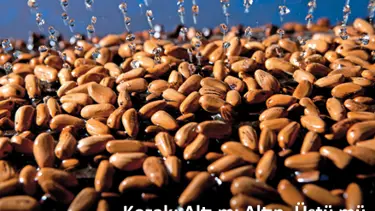 Kozak: Altı mı altın, üstü mü?