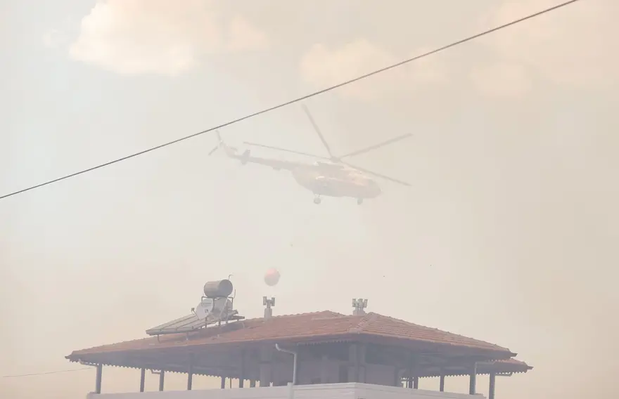 Antalya Manavgat'ta orman yangını 8