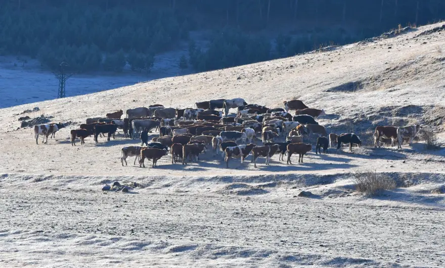 Hava buz kesti! Sıcaklık -3'e düştü, arabalar bembeyaz oldu 2 Hava buz kesti! Sıcaklık -3'e düştü, arabalar bembeyaz oldu 2