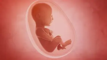 Anne karnındaki bebekler ikinci haftadan itibaren Covid-19’a yakalanabilir