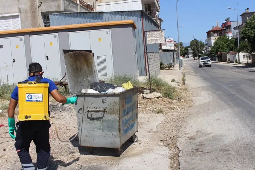 İstilacı tür olarak biliniyor: Yumurtaları 6 ay kuraklığa dayanabiliyor 1