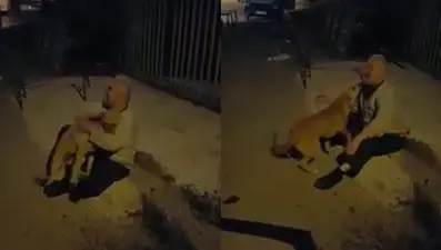 3 aydır kayıp köpeğine böyle kavuştu