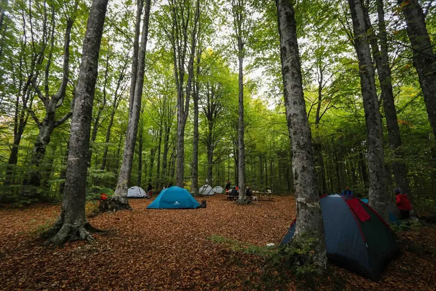 Doğa ve fotoğraf tutkunları, sonbahar renklerine bürünen Domaniç'te buluştu 6