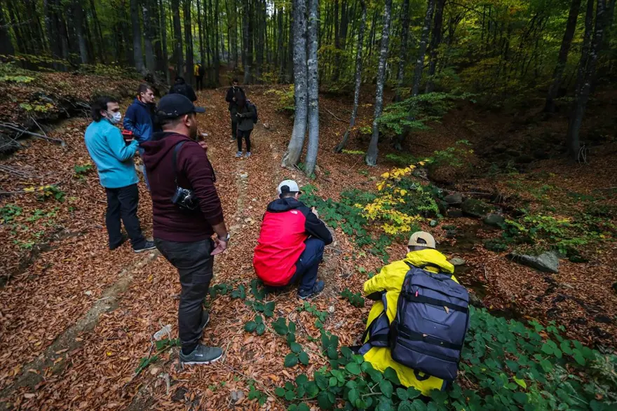 Doğa ve fotoğraf tutkunları, sonbahar renklerine bürünen Domaniç'te buluştu 12