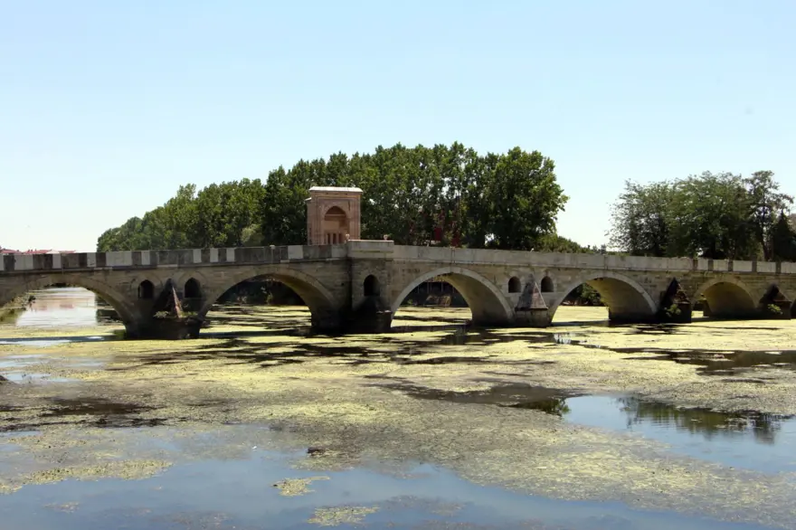 Debi düştü, Tunca Nehri yosunla kaplandı 7