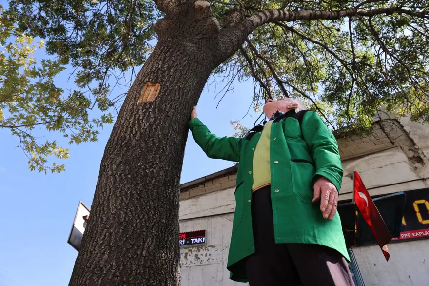 2 metrekarede 45 yıl geçirdi: 73 yaşında ama mesleğini hala sürdürüyor 6 2 metrekarede 45 yıl geçirdi: 73 yaşında ama mesleğini hala sürdürüyor 6