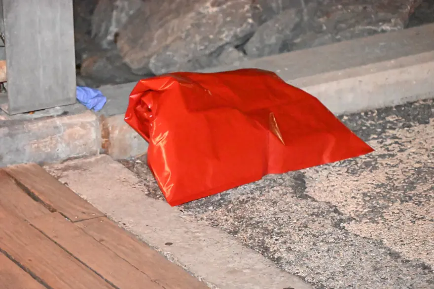 New York'ta insan kemiği parçaları bulundu 1 New York'ta insan kemiği parçaları bulundu 1