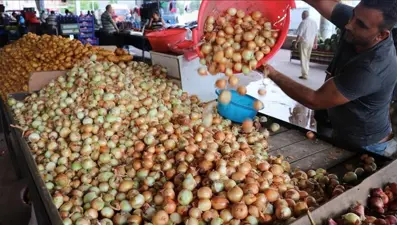 Patates ve soğan 'örümcek ağı'na takıldı (Örümcek ağı teoremi nedir?)