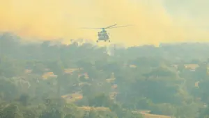 Uşak'ta 50 hektar alan yandı: 2 kişi gözaltında