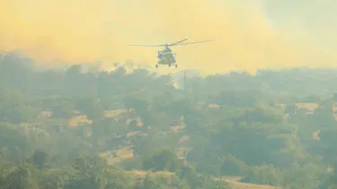 Uşak'ta 50 hektar alan yandı: 2 kişi gözaltında