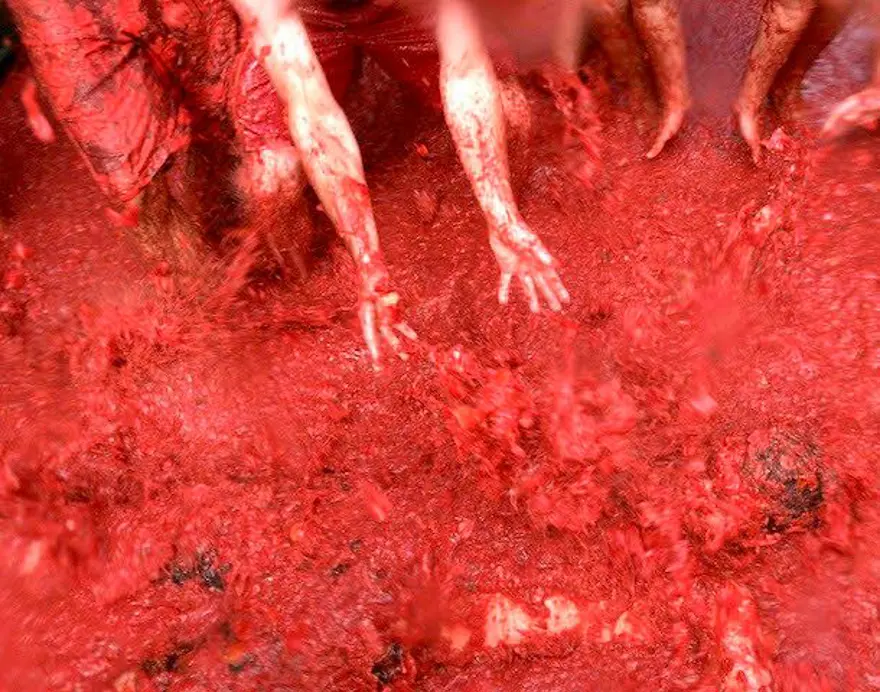 la tomatina, domates savaşı festivali, domates festivali 3