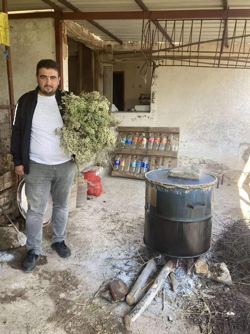 Şifa için kaynatılmaya başlandı: Her evin acil durum ilacıymış 2