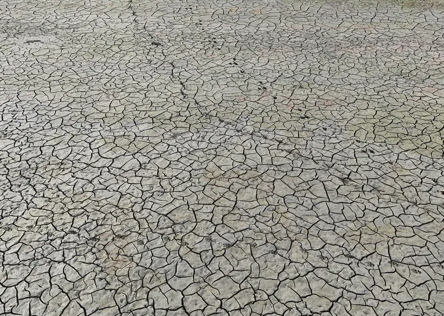 3 günlük yağmur İstanbul barajlarına yüzde 1 bile yaramadı 5