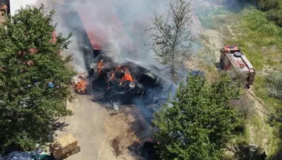 Adana'da büyükbaş çiftliğinde çıkan yangın söndürüldü