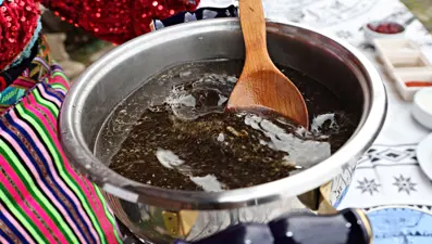 "Ağa çorbası" deniyor. Bitki doğadan toplanıyor, ekşisi kavanozda saklanıyor
