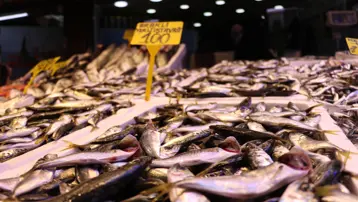 Fiyatı uygun, bol bol yeniyor. En çok satılan balık oldu