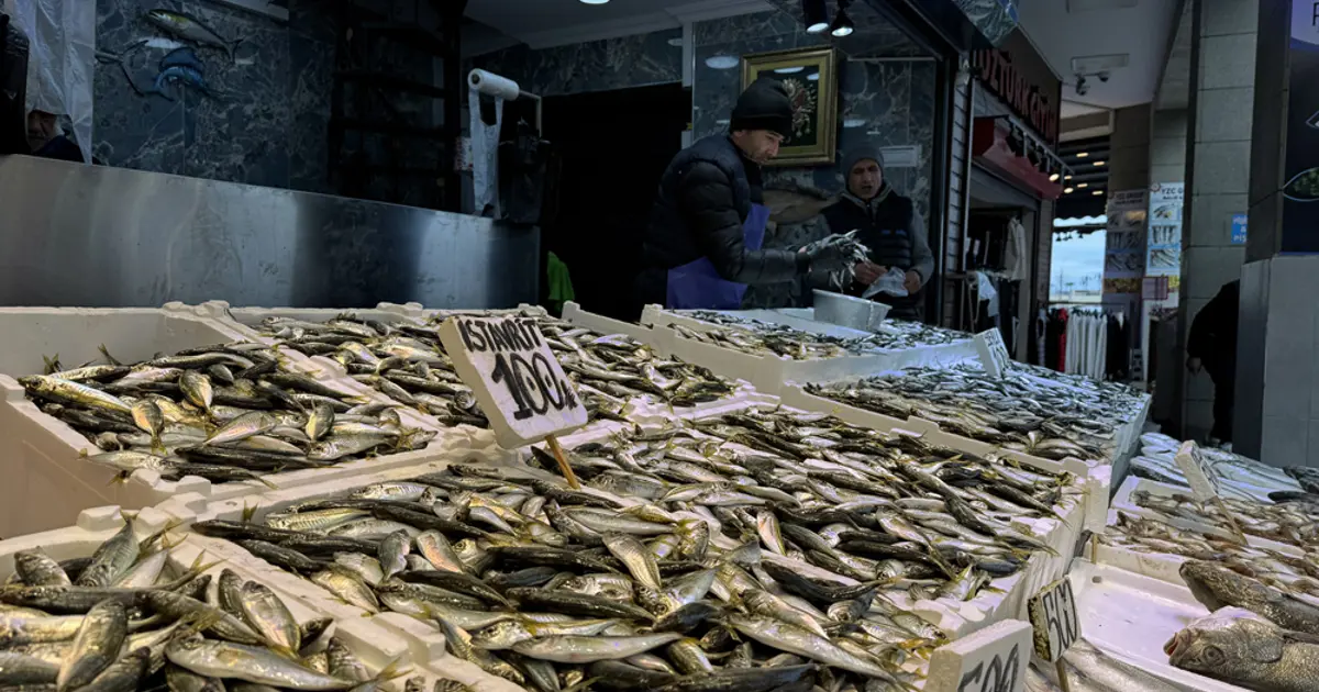 Tezgahta en çok bulunan balık. 100 liradan satışta