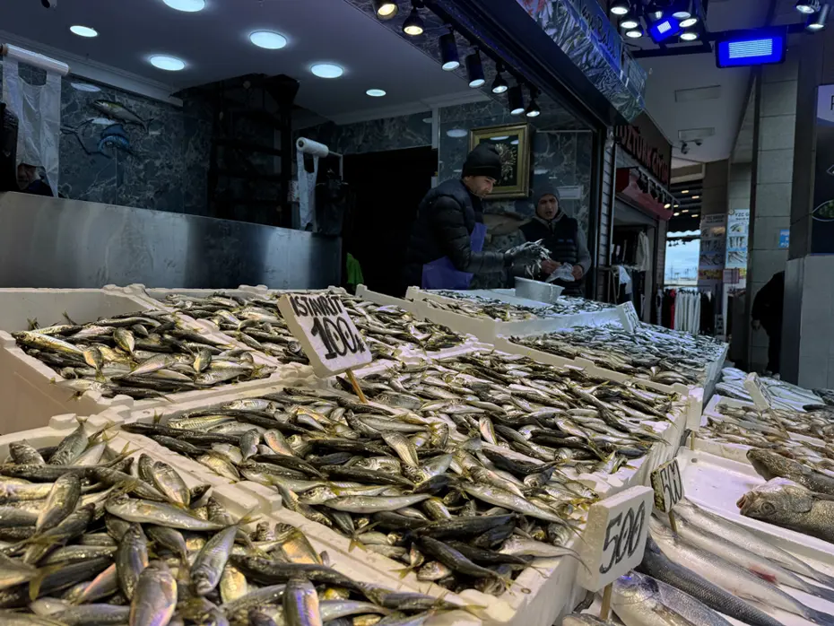 Tezgahta en çok bulunan balık. 100 liradan satışta