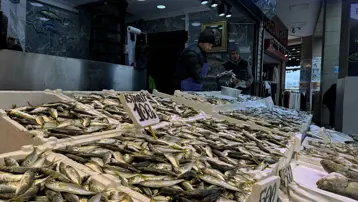 Tezgahta en çok bulunan balık. 100 liradan satışta