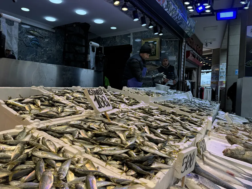 Tezgahta en çok bulunan balık. 100 liradan satışta 1 Tezgahta en çok bulunan balık. 100 liradan satışta 1