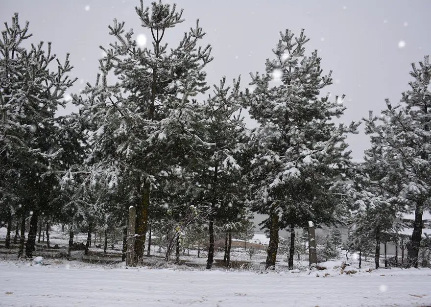 Bahar seçenek kar yağışı geri geldi 