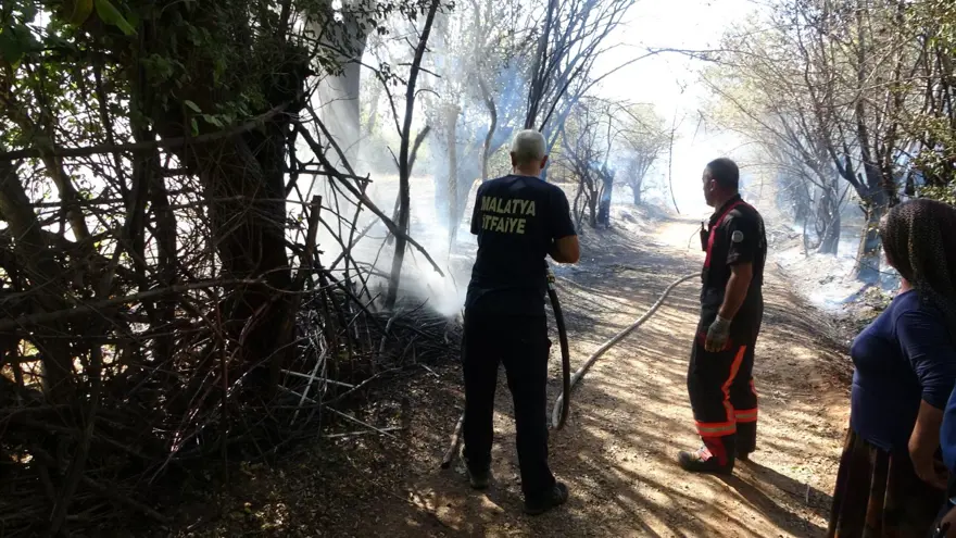 Çöpleri yakmak istedi: Meyve bahçelerini küle çevirdi Çöpleri yakmak istedi: Meyve bahçelerini küle çevirdi