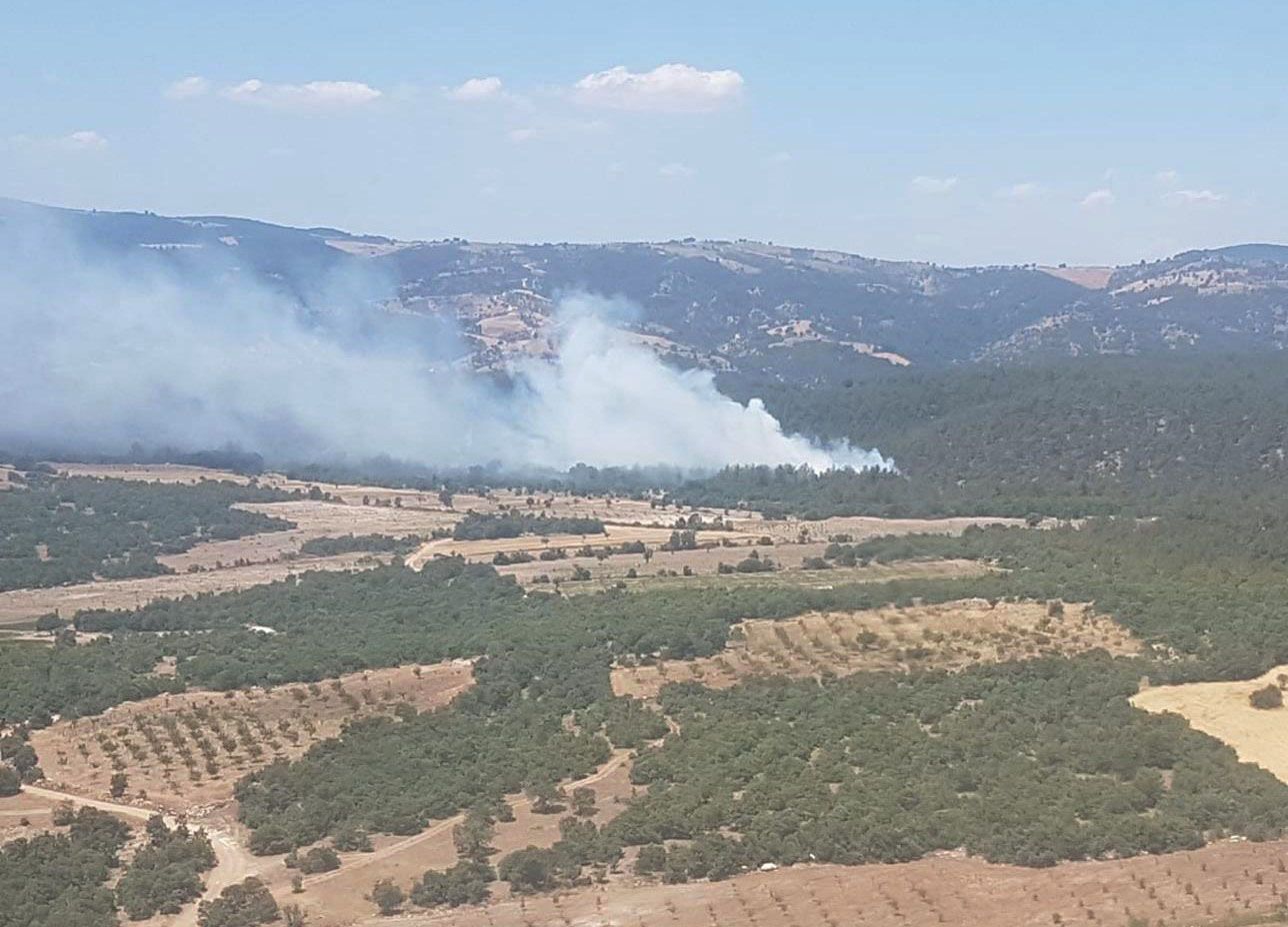 Manisa'da orman yangını; 1 hektar alan zarar gördü