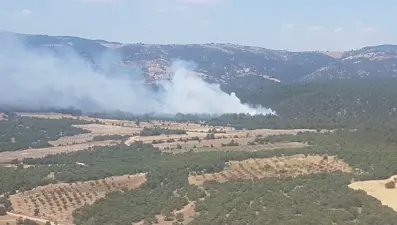 Manisa'da orman yangını; 1 hektar alan zarar gördü