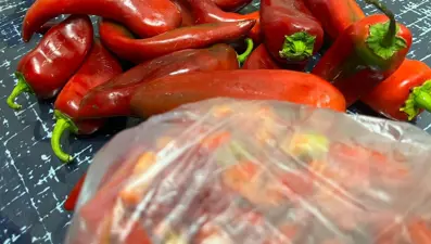 Kış için kolları sıvadılar: Titizlikle hazırlıyorlar