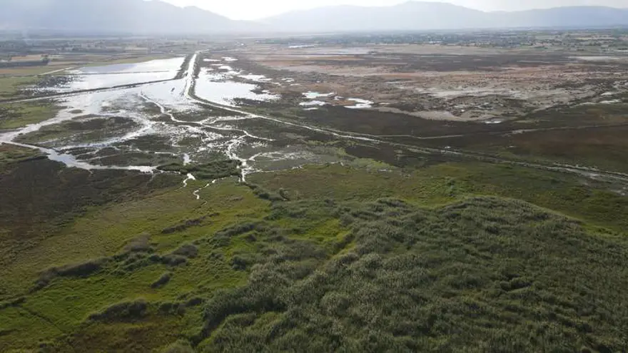Erzincan'daki sığınak 149 göçmen kuşu türüne ev sahipliği yapıyor Erzincan'daki sığınak 149 göçmen kuşu türüne ev sahipliği yapıyor