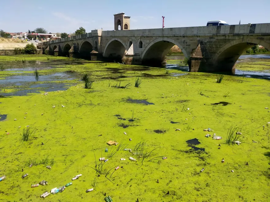 Tunca Nehri yeşile döndü 3