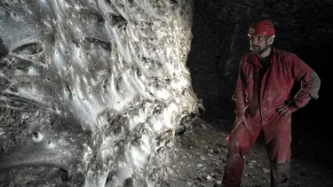 Dünyanın en büyük örümcek ağı keşfedildi