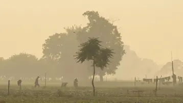 Hindistan'da gökyüzünde zehir alarmı, inşaatlar yasaklandı