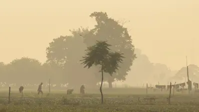 Hindistan'da gökyüzünde zehir alarmı, inşaatlar yasaklandı
