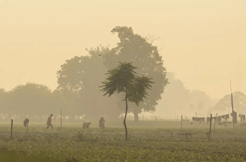 Hindistan'da gökyüzünde zehir alarmı, inşaatlar yasaklandı