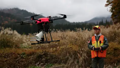 Japonya'da ayılara karşı "havlayan drone" dönemi