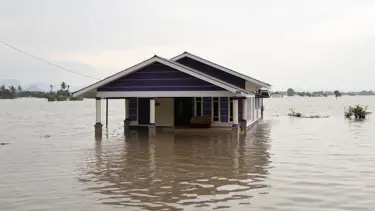 Tayland'daki sel felaketinde can kaybı 82'ye yükseldi