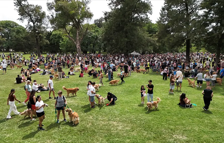 RENKLİ KOSTÜMLERLE YILDIZ OLDULAR 1
