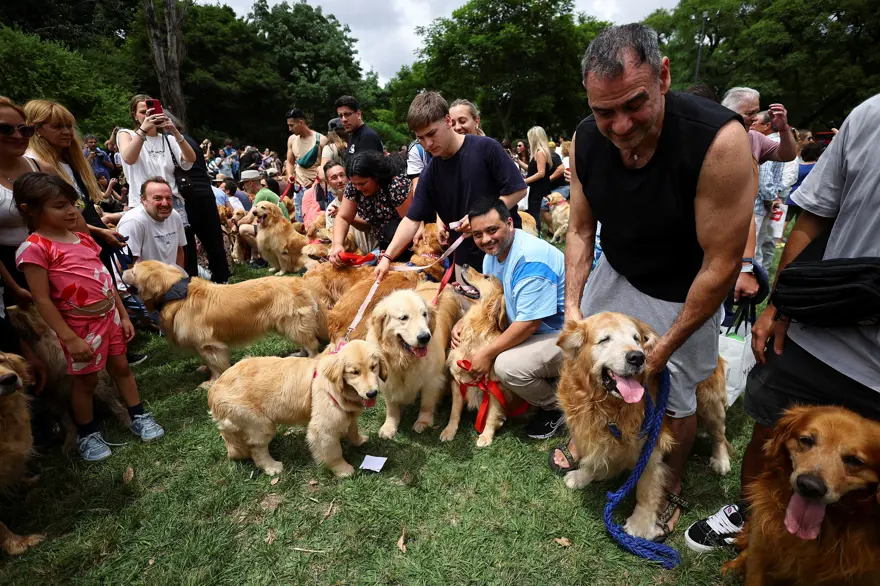 SOSYAL MEDYA ÜZERİNDEN BAŞLADI 