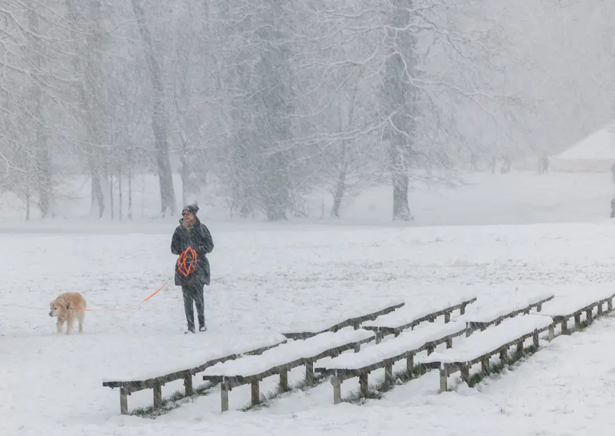 Avrupa kara teslim oldu. Uçuşlar iptal edildi, yolcular mahsur kaldı 3