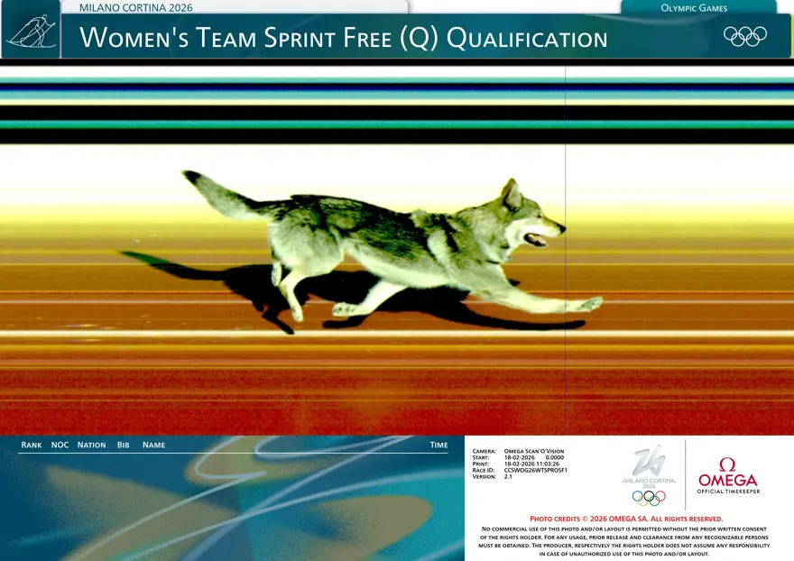 KÖPEK FOTOFİNİŞİ GEÇTİ 