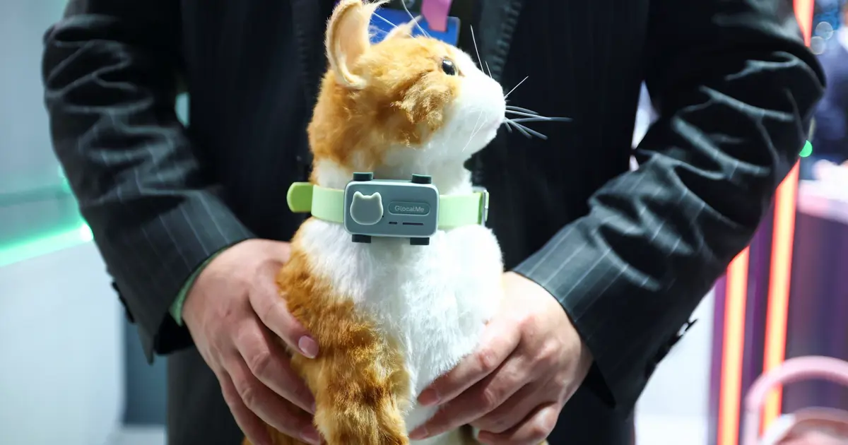 Evcil hayvanlar için akıllı telefon