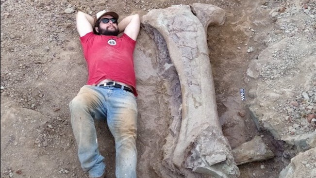 Dev dinozor türü keşfedildi. Bir kemiği bile insan boyunda