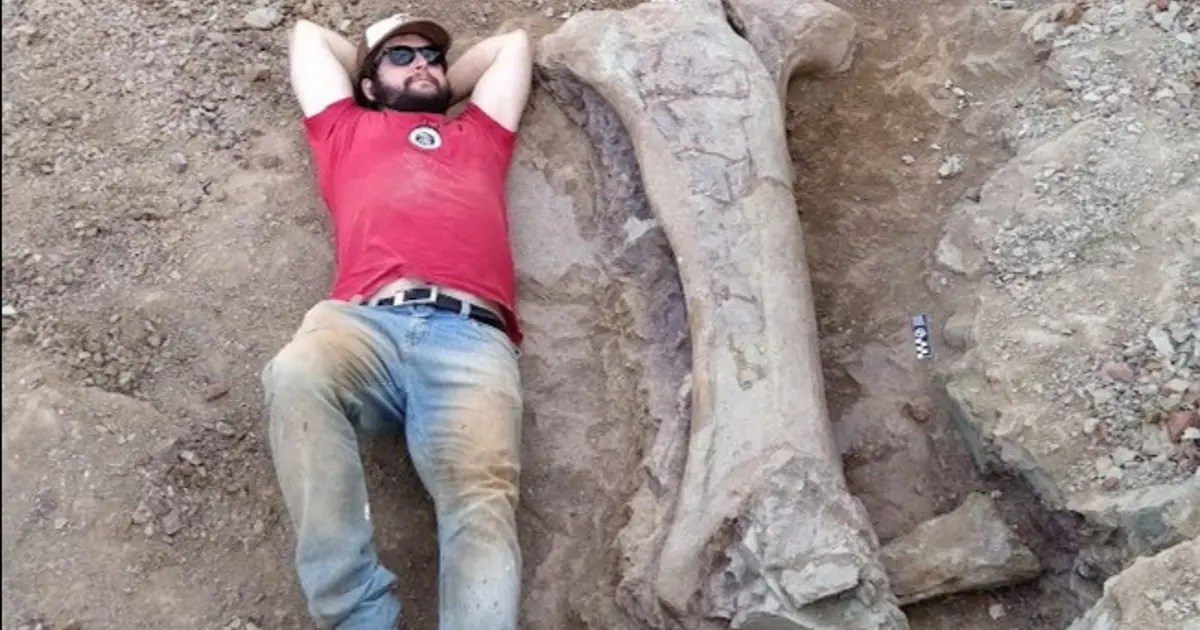 Dev dinozor türü keşfedildi. Bir kemiği bile insan boyunda