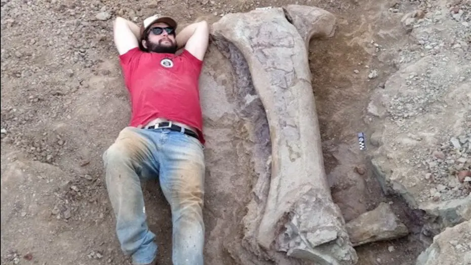 Dev dinozor türü keşfedildi. Bir kemiği bile insan boyunda