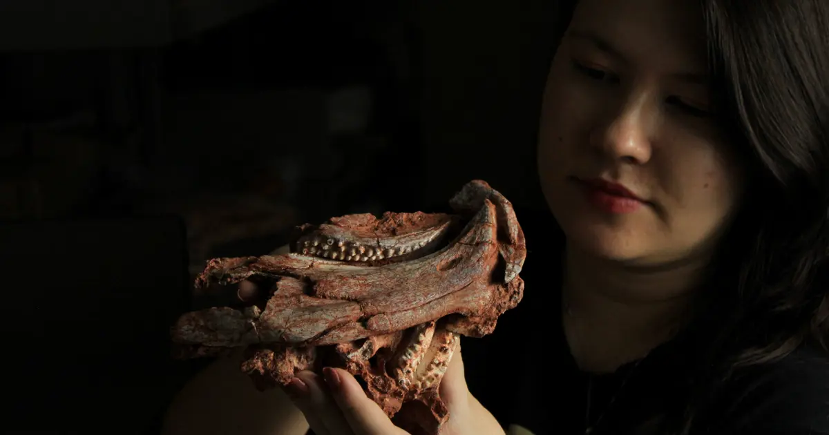 230 milyon yaşında. Brezilya'da papağan gagalı sürüngen bulundu