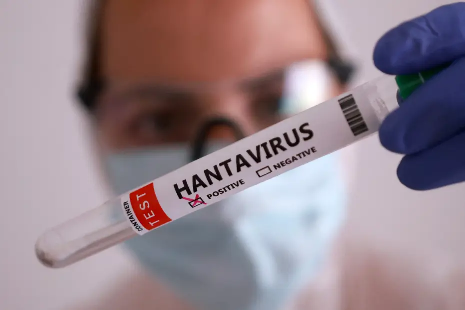 Hantavirüs'ün yayılma nedeni iklim değişikliği mi?